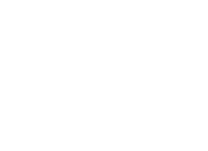 Globe icon
