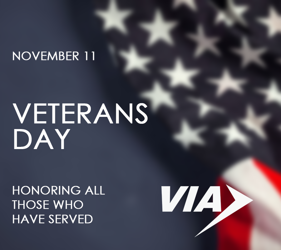 Image of Veterans Day newsroom graphic