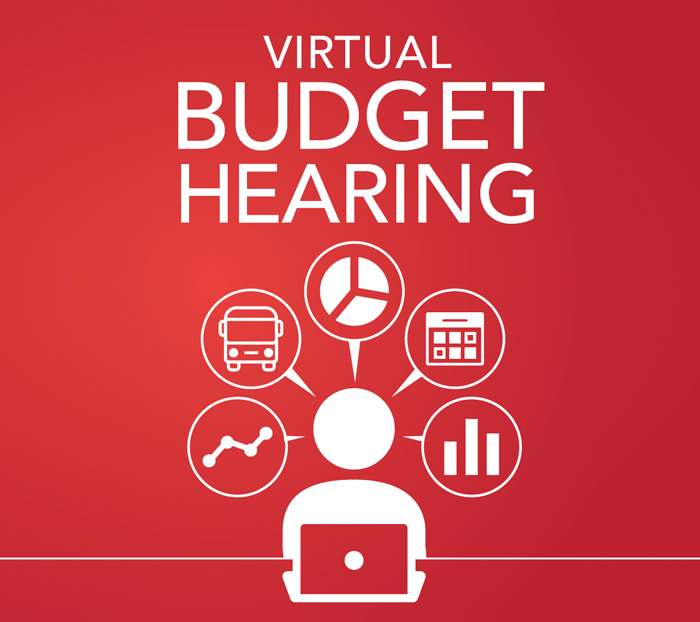 Graphic: Virtual Public Hearing