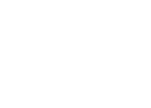 VIA Logo White