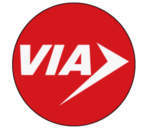VIA Logo
