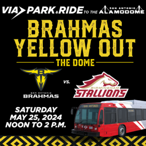 Brahmas