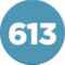 Route 613 Icon