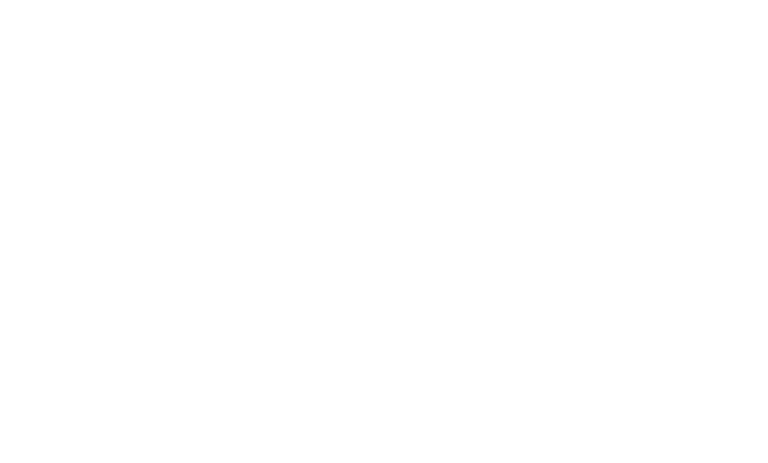 New VIA Logo WHITE